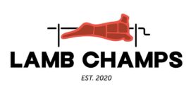 {{brizy_dc_image_alt imageSrc=